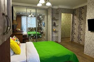 Квартира 1-ком. на Пушкина (просп. Соборный 150б). Полулюкс двухместный  4