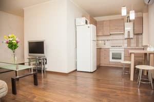 Квартира 1-ком. на ул. Украинской 43 (Пушкина, Лахти). Полулюкс двухместный  3