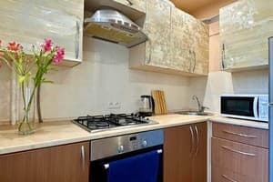 Квартира 2-ком. ул. Украинская 45 (Пушкина, Лахти). Апартаменты 4-местный ул. Украинская 45 12