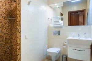 Отель Abri Hotel. Комфорт двухместный Премьер 4