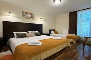 Готель Alex Hotel. Стандарт тримісний  4