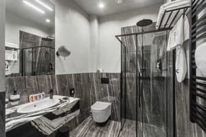 Отель Brik Hotel. Полулюкс двухместный с терассой 3