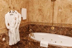 Отель Бристоль. Люкс двухместный  6