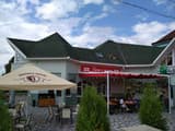 Дельфин 1