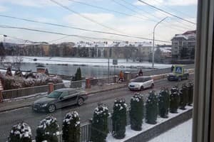 Дельфин 8