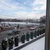 Дельфин 8-9/9