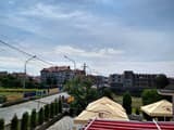 Дельфин 4