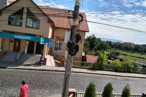 Дельфин 2