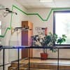 Dream Hostel Poltava 6-7/8
