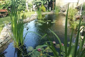 Вилла EkoKomfort. Коттедж 6-местный  20