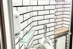 Файна Птиця 12