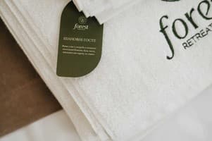 Рекреационный комплекс Forest Retreat Center. Апартаменты 6-местный Forest Пентхаус 9