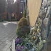 Фортеця 6-7/18