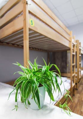 Hostel51  12