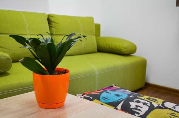 Hostel51  15