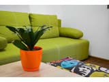 Hostel51  15