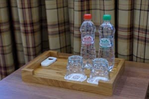 Отель Ірис. Стандарт двухместный Double 3