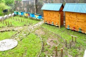 Жемчужина Подолья 4