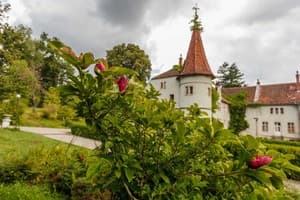 Кайзервальд клуб 6