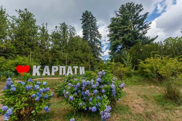 Кайзервальд клуб 1