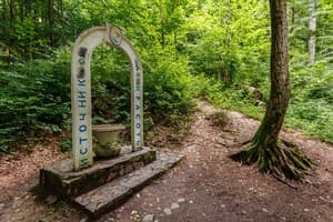 Апарт-отель Кайзервальд клуб. Полулюкс двухместный  7