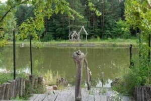 Кот Баюн и Кривенькая уточка 11