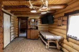 Кот Баюн и Кривенькая уточка 17