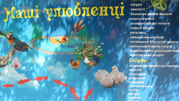 Леон 29