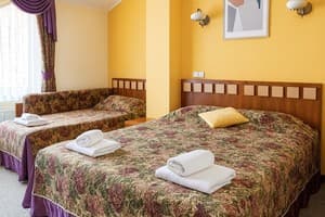 Отель Леотель. Бизнес двухместный -Стандарт 6