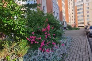 Lutsk Apartment вул. Арцеулова 22 4