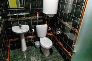 Мини-отель Mamba Hotel. №5 Двухкомнатный номер с джакузи и кинотеатром – в укрытии 29