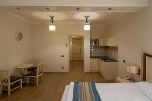 Апарт-отель Metro Hotel Apartments. Апартаменты двухместный мансарда 4