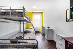 Мистер Хостел 8