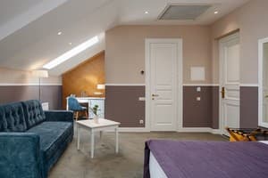Отель Modern Art Hotel - Maestro. Делюкс двухместный  8