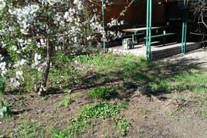 Моя зупиночка 13