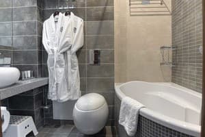 Спа-отель NEMO Hotel Resort & SPA. Стандарт двухместный вид на парк 6