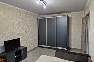 Однокомнатная в центре, проспект Центральный 184 2