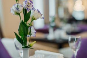 Optima Collection Чернигов 14