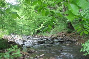 Пан Хохол 10