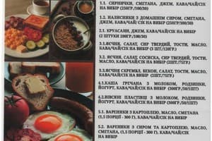 Отель Писанка Hotel & SPA. Комфорт одноместный с балконом 5