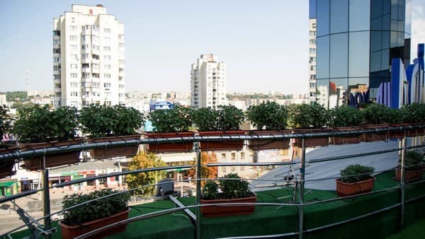 Plaza 27