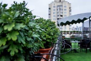 Отель Plaza. Полулюкс двухместный 603 12