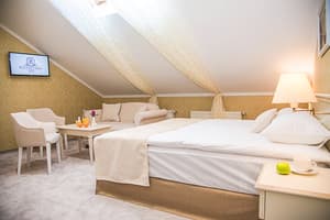 Отель Pletnevskiy Inn. Делюкс двухместный  1