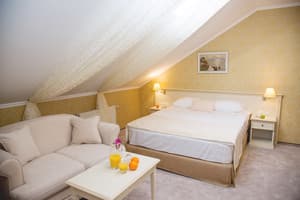 Отель Pletnevskiy Inn. Делюкс двухместный  2