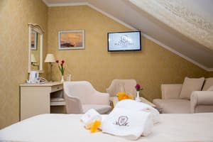 Отель Pletnevskiy Inn. Делюкс двухместный  3