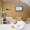 Отель Pletnevskiy Inn. Делюкс двухместный  3