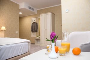Отель Pletnevskiy Inn. Делюкс двухместный  4