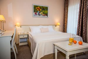 Отель Pletnevskiy Inn. Улучшенный двухместный  1