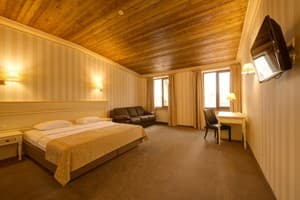 Отель Premier Geneva Hotel. Делюкс двухместный  4
