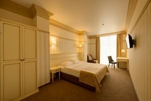 Отель Premier Geneva Hotel. Полулюкс двухместный (Премьер) 1